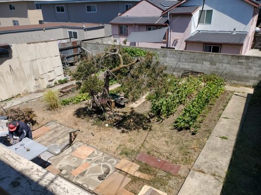 Backyard Debris Cleanup - Is your backyard in need of a transformation? We're here to turn your outdoor space into a haven of relaxation! 💚🚛

Why choose Anaw Hauling for your backyard cleanup?
✅ Tailored Solutions: Customized cleanups to suit your backyard needs.
✅ Green Disposal: Environmentally conscious removal practices.
✅ Quick & Efficient: We'll have your backyard looking pristine in no time.
✅ Affordable Rates: Quality service that won't break the bank.

From clutter to calm, let us clear the way for your perfect outdoor retreat! 🌺 Contact Anaw Hauling today for a FREE backyard cleanup estimate. Reclaim your space and make your backyard the highlight of your home! 📞🌳 #AnawHauling #BackyardCleanup #OutdoorOasis #JunkRemoval 🚀🌞