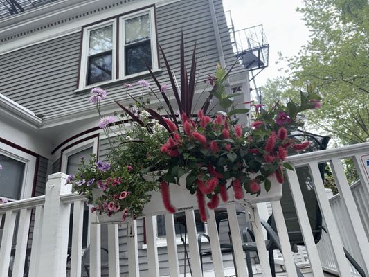 Irving House at Harvard by null