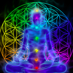True Life Solutions - Every energy system in your being has a purpose and the means to be ecstatically well.