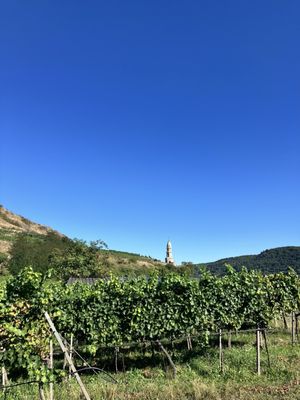 Domäne Wachau by null