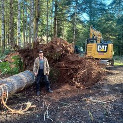 Hart Construction - Tree removal