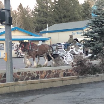 Robinhood Resort - And just in case that wasn't enough, park your car, check in and hop on this horse and carriage ride. - Big Bear Lake, CA