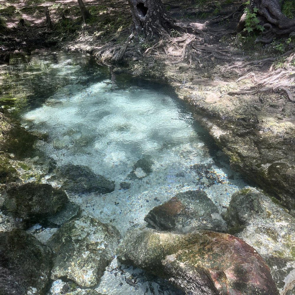Rum 138 - Mermaid Spring - Rafting/Kayaking Near Me - Fort White, Florida