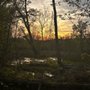 Photo of Woodman Fen