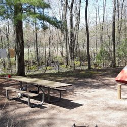 Site 7
