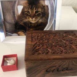 Aaron's Low Cost Cremation & Funeral