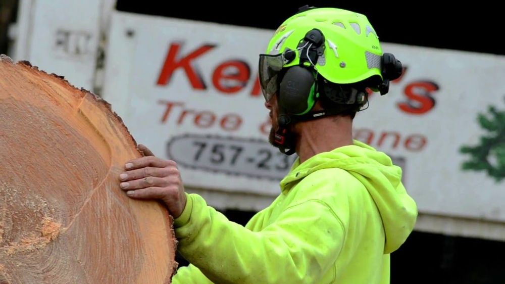 Kenny's Tree & Crane - tree service in Yorktown, VA