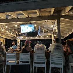 Salty Mongoose - Bar