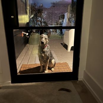 Primo Doors - Door Sales/Installation Near Me - Houston, Texas Primo Doors - Door Sales/Installation Near Me - Houston, Texas