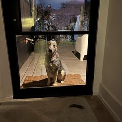 Primo Doors