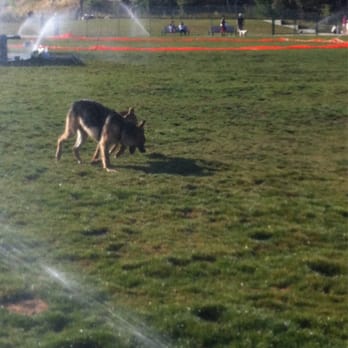 Watson Park - Dog Parks Near Me - San Jose, California