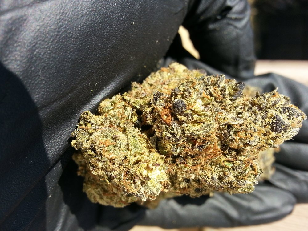 CannaBliss