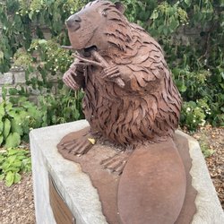Fergus Medieval Faire