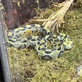 Oklahoma City Zoo - Zoos Near Me - Oklahoma City, Oklahoma Oklahoma City Zoo - Zoos Near Me - Oklahoma City, Oklahoma
