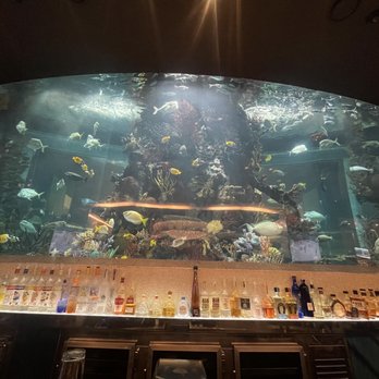Chart House - Bar top area - Seafood Near Me - Las Vegas, Nevada Chart House - Bar top area - Seafood Near Me - Las Vegas, Nevada