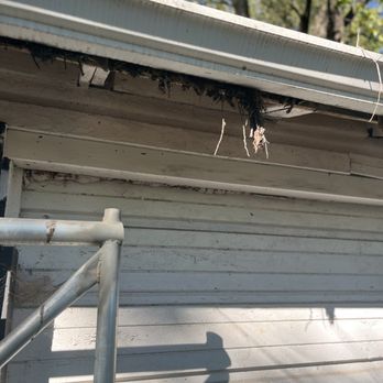Two Men and a Gutter - Gap between fascia board and gutter - The photo shows a close-up of a gutter attached to a building, with a noticeable gap between the fascia board and the gutter. Debris, including twigs and dirt, is hanging from the gap. The background includes trees with green leaves, and a shadow of a person or object is cast on the building's siding. The building's exterior appears weathered, and there is scaffolding or a ladder partially visible in the lower left corner. - Gutter Services Near Me - Carmel, Indiana