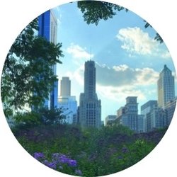 LPS Dental - Norwood Park