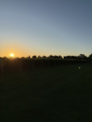 The Farmhouse at Meletos by null