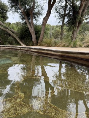 Peninsula Hot Springs by null