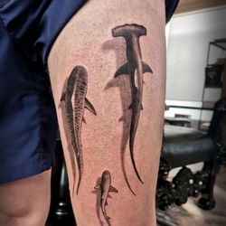 La French Sarah - Tatouages requins