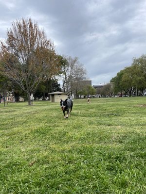 Southside Park by null