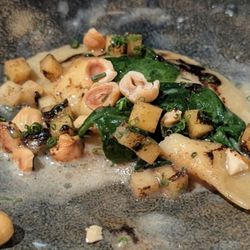 Arbour - Allium dumplings