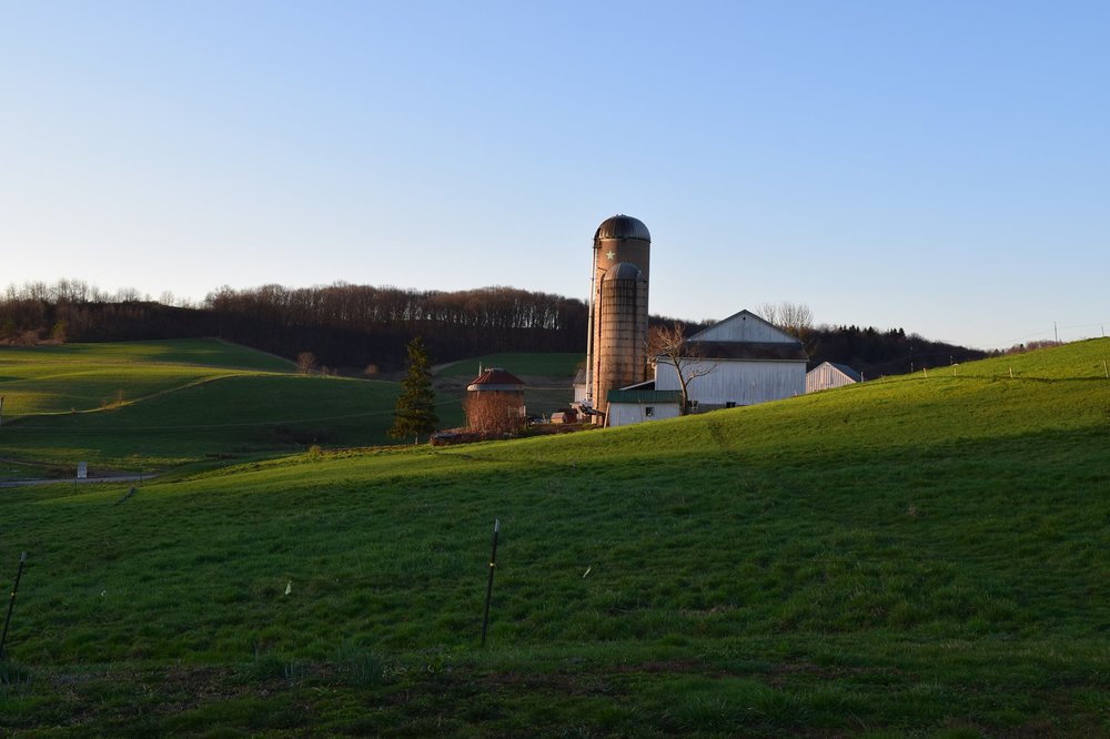 LUTZ FARMS Updated October 2024 15 Photos 119 Lutz Rd, Zelienople
