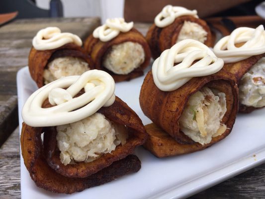 Tambaqui de Banda by null