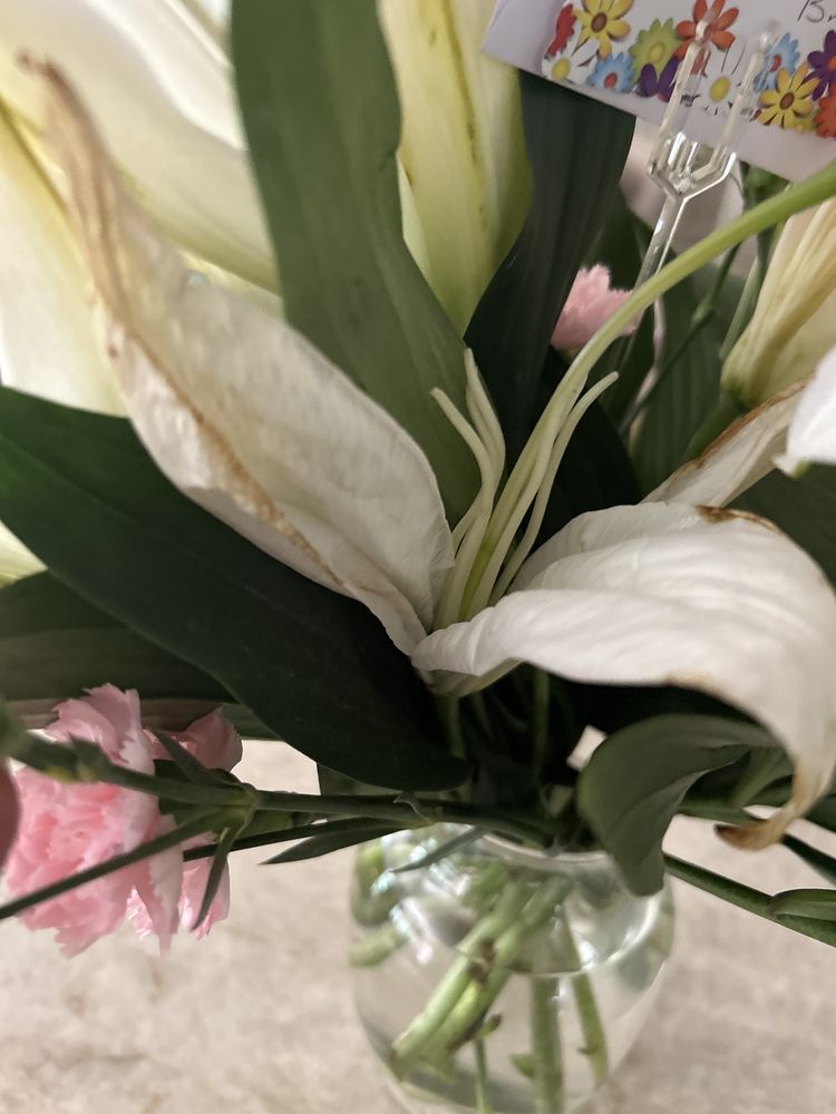 JUST FLOWERS Updated July 2024 Richmond, Virginia Florists Phone Number Yelp