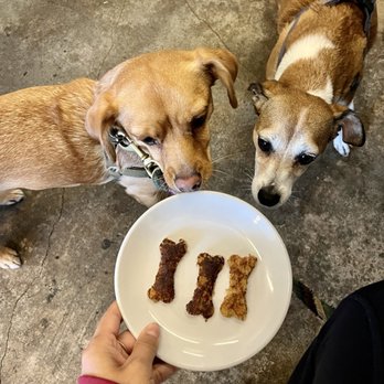 Salt's Cure - I love that they give the pups little oatmeal griddle cakes in the shapes of bones, my pups loved them! - Breakfast & Brunch Near Me - Los Angeles, California Salt's Cure - I love that they give the pups little oatmeal griddle cakes in the shapes of bones, my pups loved them! - Breakfast & Brunch Near Me - Los Angeles, California
