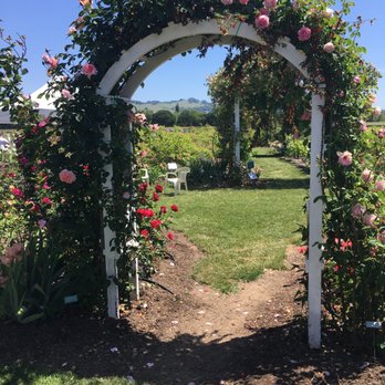 Russian River Rose Company - Nurseries & Gardening Near Me - Healdsburg, California Russian River Rose Company - Nurseries & Gardening Near Me - Healdsburg, California