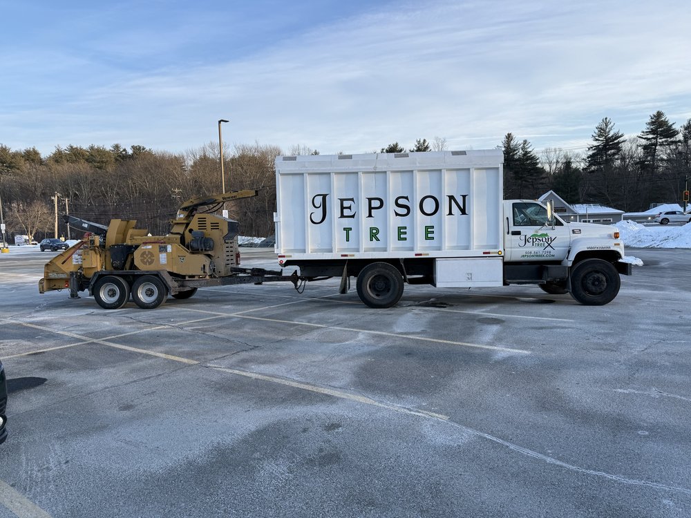 Jepson TreeX - tree service in Sudbury, MA