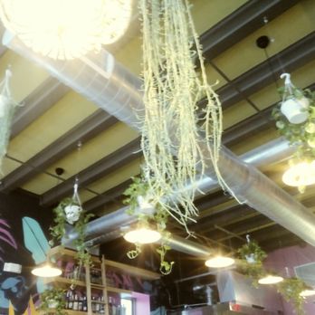 Hombre y Lobo | Tacos + Tequila - The Hanging Gardens of Hombre - Tacos Near Me - Buffalo, New York Hombre y Lobo | Tacos + Tequila - The Hanging Gardens of Hombre - Tacos Near Me - Buffalo, New York