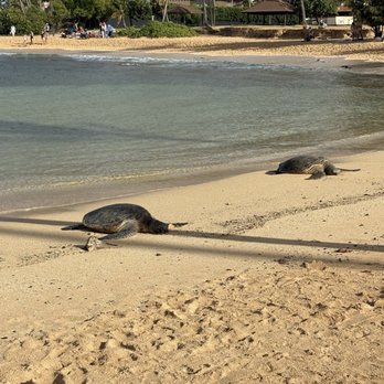 Poipu Beach - Beaches Near Me - Koloa, Hawaii