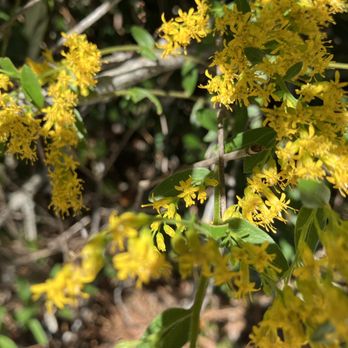 Kiplinger Nature Preserve - Parks Near Me - Stuart, Florida