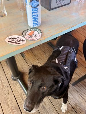 Arrowhead Bike Farm and Campground by null