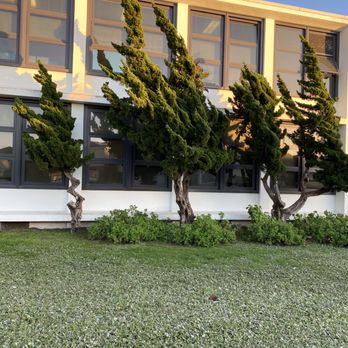 Lakeshore Alternative Elementary School - Trees at Lakeshore - Elementary Schools Near Me - San Francisco, California Lakeshore Alternative Elementary School - Trees at Lakeshore - Elementary Schools Near Me - San Francisco, California