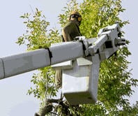 Inland Tree Service - tree service in Spokane, WA