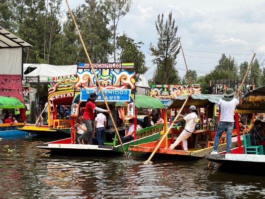 Parque Ecológico de Xochimilco by null