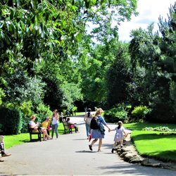 Waterlow Park - Photo.  11.6.2014.