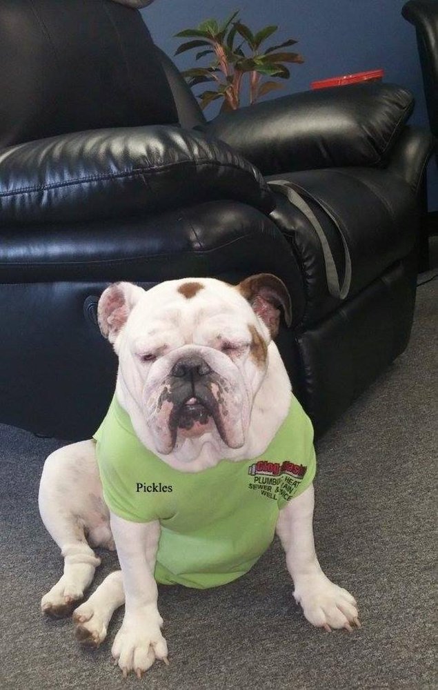 Slide of Clog Master