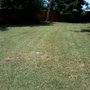 Photo of Martin's Mowing