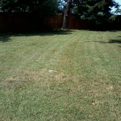 Martin's Mowing - This one likes short grass with stripes.