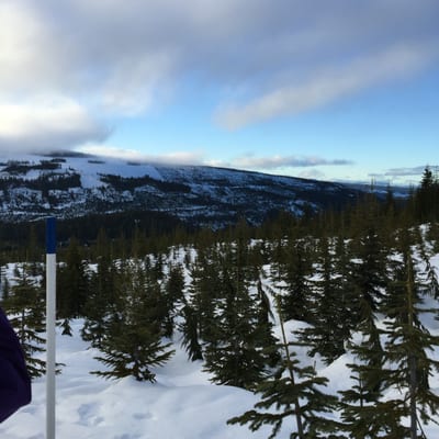 Mount Washington Alpine Resort by null