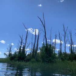 Salmon River Boat Launch - Brine wetland, habitat, and nesting ground for many well deserving creatures.
