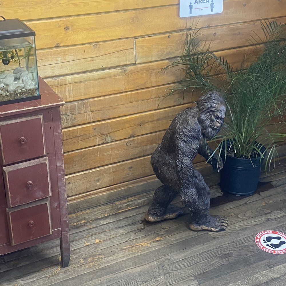 Red Canyon Cafe - I understand that language but these humans don't - Cafes Near Me - Eagle, Colorado Red Canyon Cafe - I understand that language but these humans don't - Cafes Near Me - Eagle, Colorado