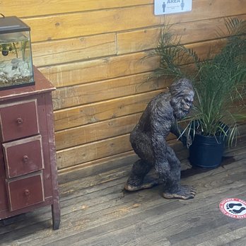 Red Canyon Cafe - I understand that language but these humans don't - Cafes Near Me - Eagle, Colorado