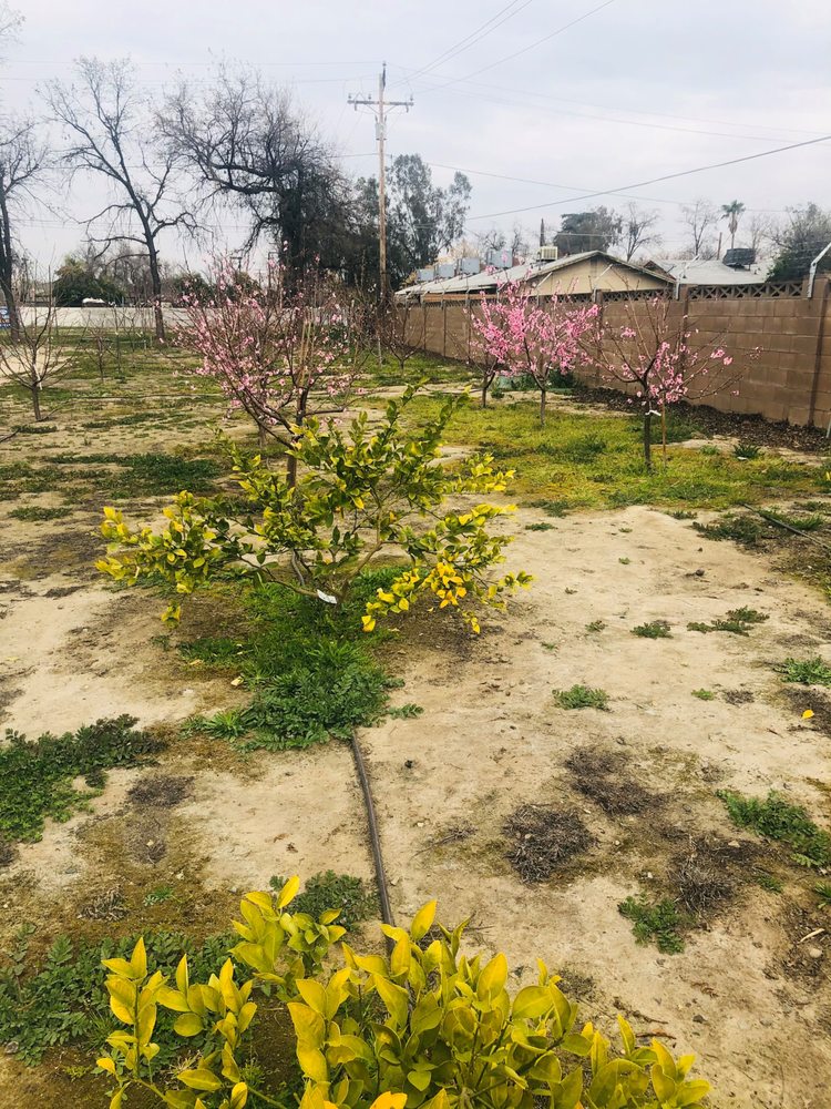 BETHLEHEM CENTER Updated September 2024 1638 N Dinuba Blvd, Visalia