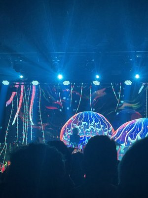 Big Night Live by null
