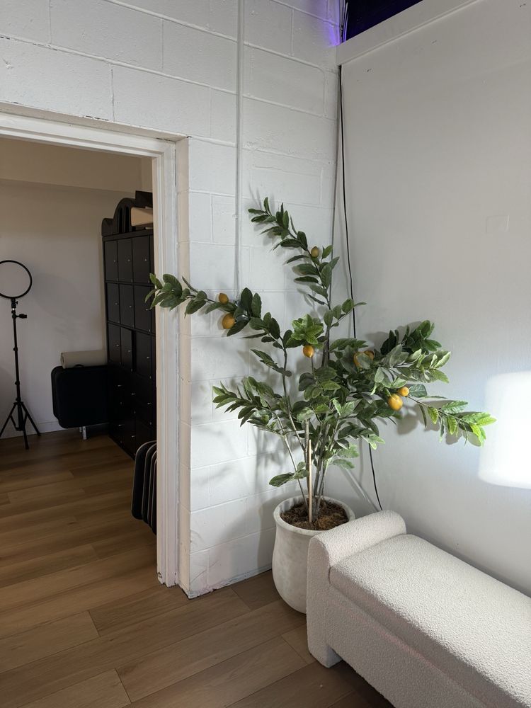 Casa Di Pilates Logo